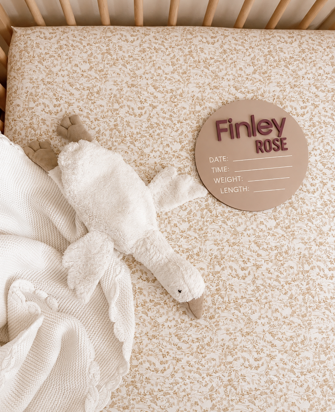 Acrylic Baby Arrival Disc