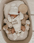 Hello World Birth Announcement Disc