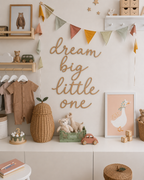 Dream big little one | Nursery Wooden Wall Words