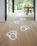 Easter Bunny Paw Print Stencils