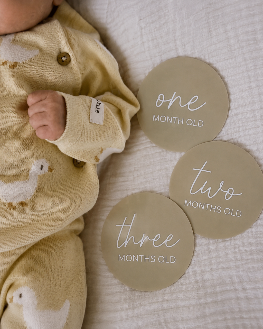 Acrylic Baby Milestone Card Set