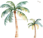 Palm Tree Wall Sticker Set