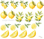 Lemon Wall Stickers Set