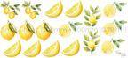 Lemon Wall Stickers Set