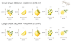 Lemon Wall Stickers Set